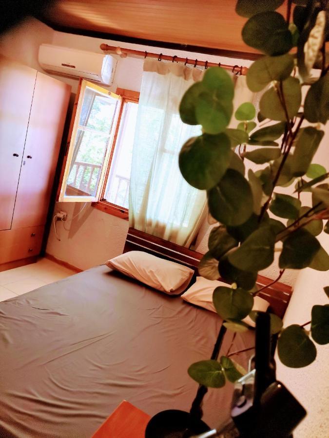 Green Vila ソゾポリ エクステリア 写真